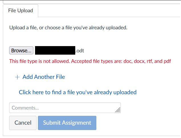 A screenshot of a file upload dialog (for the canvas LMS) that has a file with an odt extension selected. There is red text saying "This file type is not allowed. Accepted file types are doc, docx, rtf and pdf"