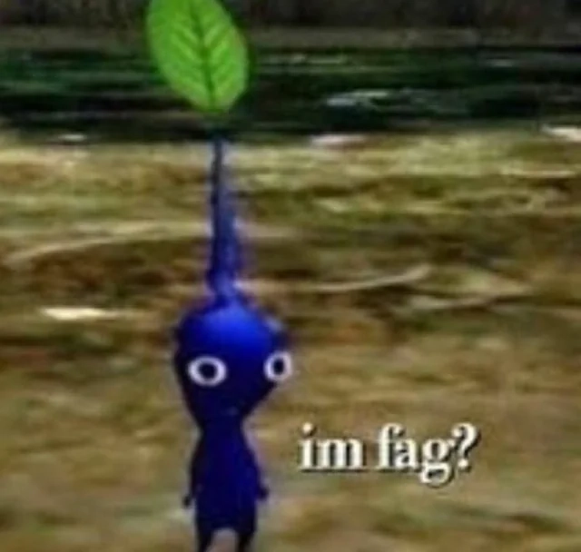 Crunchy picture of a blue Pikmin (little alien with a dual lobed body and a green sprout coming out of their head) saying "I'm fag?"