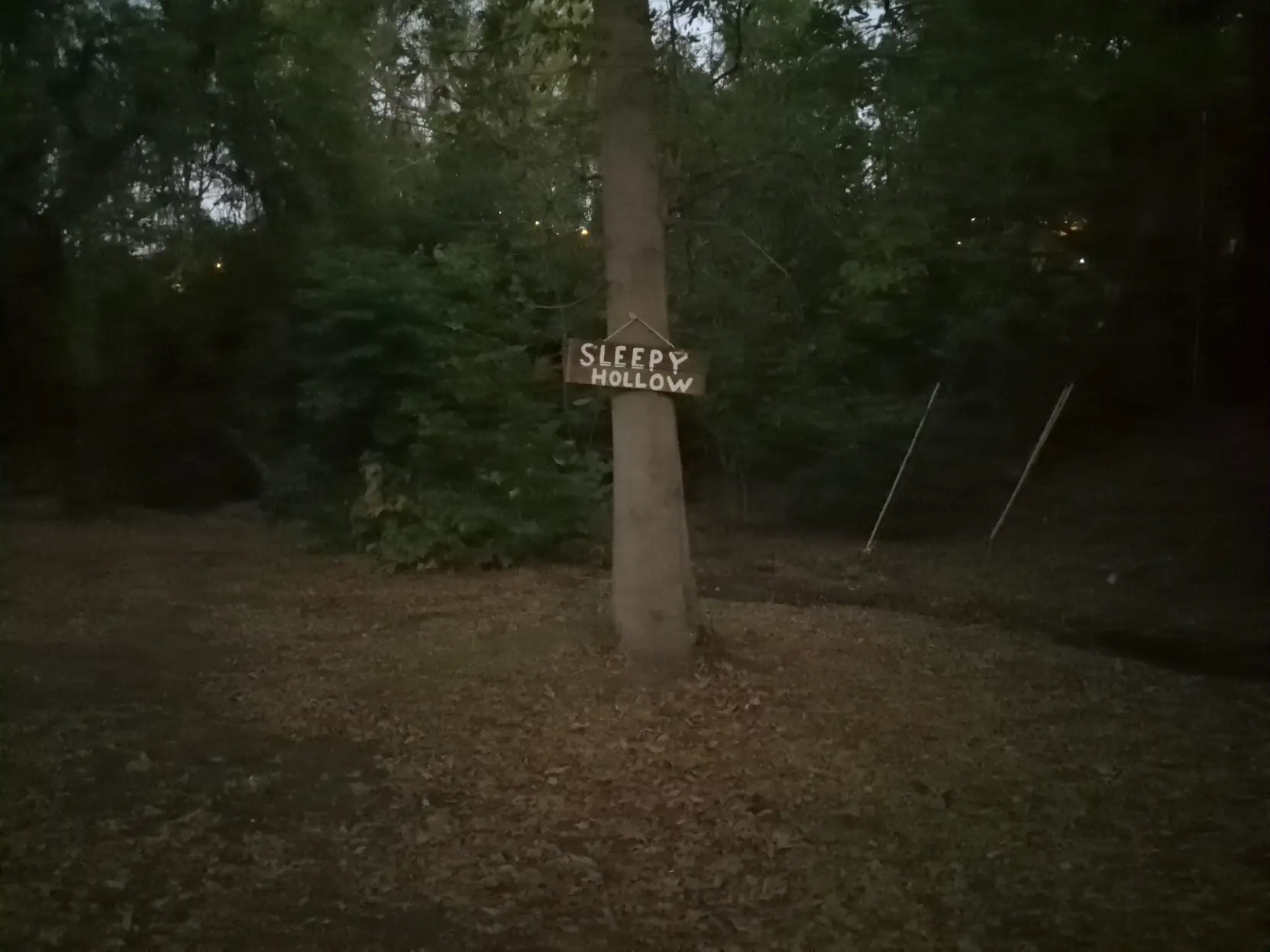 A kinda spooky looking trail at dusk with a sign on a tree that says "Sleepy hollow"