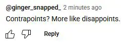 screenshot of a youtube comment: "contrapoints more like disappoints"